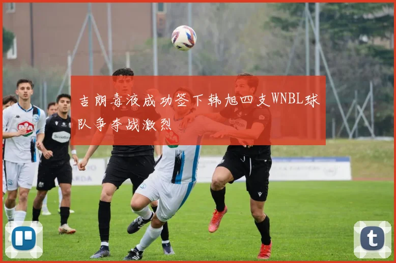 吉朗毒液成功签下韩旭四支WNBL球队争夺战激烈